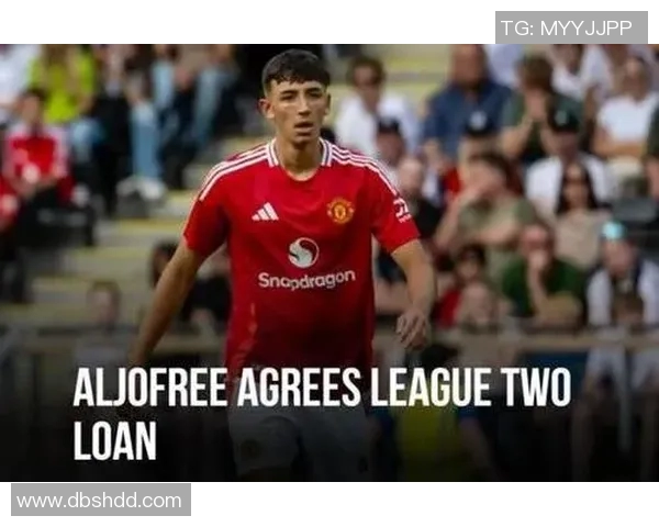 足球明星新加坡国籍揭秘他们的成就与影响力分析